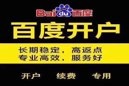 竞价推广实战攻略：成功案例分享